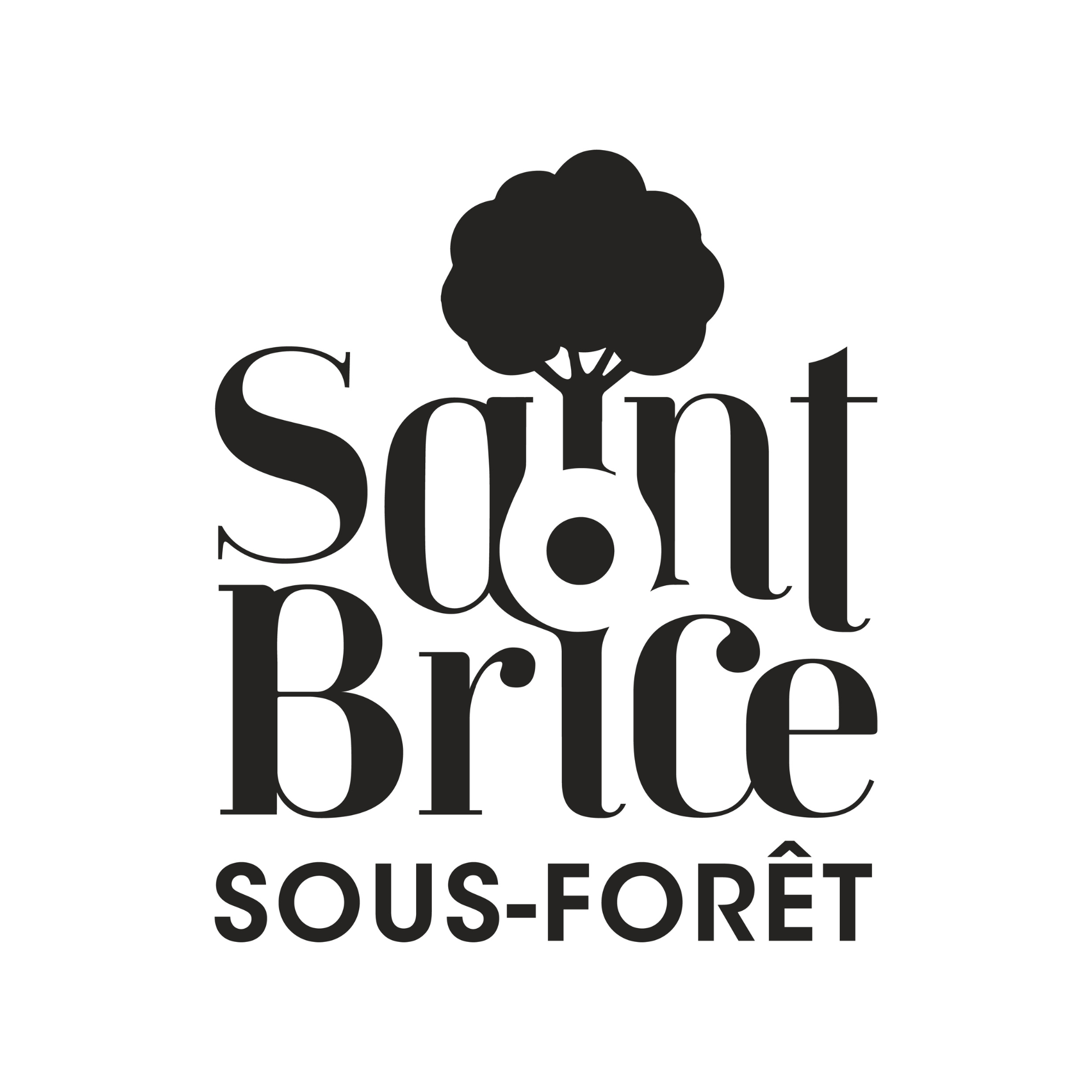 Logo SBSF.png