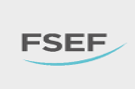 fsef.png